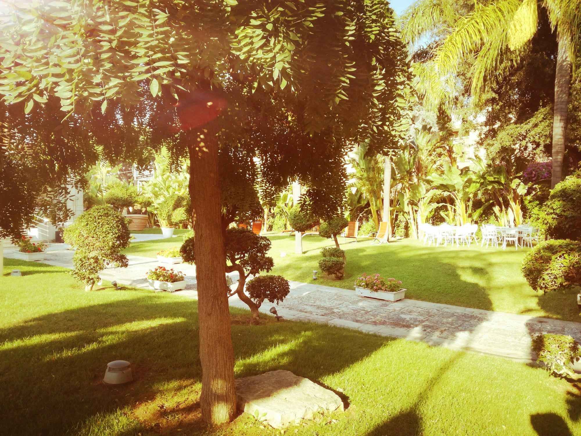 No Tag Urban Hotel تراني المظهر الخارجي الصورة